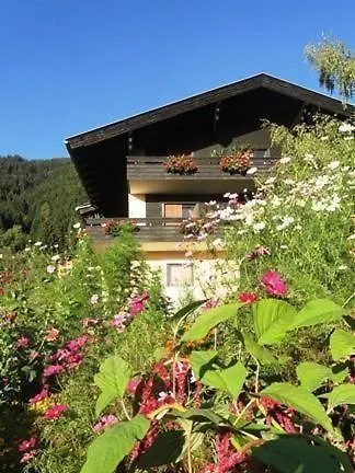Salvia In Apartment Millstatt