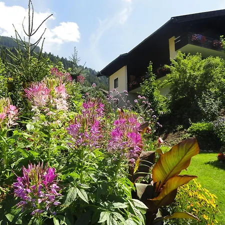 Salvia In *