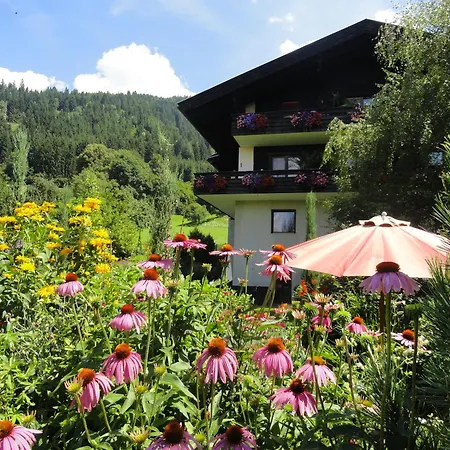 Salvia In * Millstatt